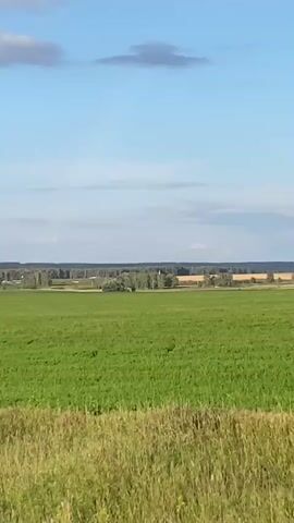 A still vertical video shows a landscape of green fields under a blue sky with scattered clouds. In the distance, a line of trees and some buildings are visible. A telephone pole appears and disappears as the camera moves. A paved road with a white line marking curves through the scene. The foreground shows a strip of grass and some dry vegetation. The lighting suggests it is daytime, likely late afternoon.