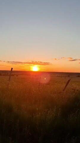 The video shows a sunset over a grassy field. The sun is low in the sky, casting a warm, orange glow over the landscape. There are a few scattered clouds in the sky, which are illuminated by the setting sun. In the foreground, there is a dirt path with a shaggy, light-brown dog on a leash walking away from the camera. The dog appears to be a golden retriever or a similar breed. The setting is rural, likely a field or meadow, with some wooden fence posts visible in the distance. The time of day is clearly sunset, suggested by the color of the sky and the position of the sun. The overall mood is peaceful and serene, evoking the beauty of nature at the end of the day. There is no visible text in the video.