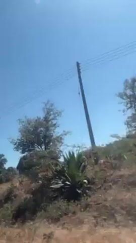 The video appears to be taken from a moving vehicle, showing a rural landscape with trees, bushes, and what look like houses or buildings in the distance. The sky is clear and blue. There are also power lines visible overhead.