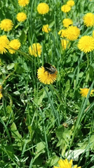 Spring day memories captured across Chaikovsky, Russia