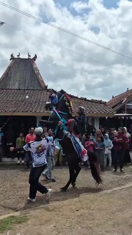 The video shows a horse rearing up on its hind legs in front of a crowd of people gathered outdoors. The horse is adorned with colorful decorations, including a blue bridle and floral accents. A person is seated on the horse's back, and another person is holding the horse's reins. Several people are standing around the horse, some holding sticks or poles. In the background, there is a building with a traditional tiled roof and a tall palm tree. The sky is cloudy.