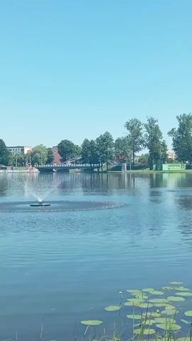A calm, blue lake is in the foreground with lily pads and reeds at the bottom right. A fountain sprays water in the middle of the lake. In the background, across the water, is a sandy beach lined with trees. People are visible on the beach. A bridge spans the lake in the distance, and buildings and more trees are visible beyond the bridge and beach. The sky is clear and blue.