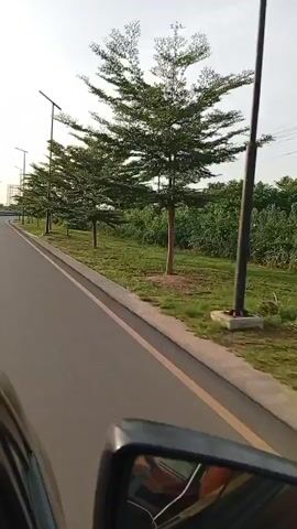 A car is moving along a road. The road has a yellow painted dividing line on the edge. The median is grass and trees. There are street lights on the median. The rearview mirror of the car can be seen. The sky is pale.