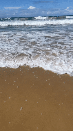 Sunny day at Surfers Paradise, waves rolling in
