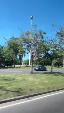The video shows a scenic view from a moving vehicle on a bright, sunny day. Lush green grass and numerous trees, including tall palm trees and leafy deciduous trees, line the roadside. A wide, multi-lane paved road runs parallel to the green space, with several cars visible driving in the same direction as the camera. In the distance, a prominent, rugged mountain rises against a clear blue sky. Tall streetlights are also visible. The foreground trees appear blurred due to the motion of the vehicle. The scene depicts a vibrant natural landscape, likely a park or boulevard, within an urban environment, characteristic of Rio de Janeiro.