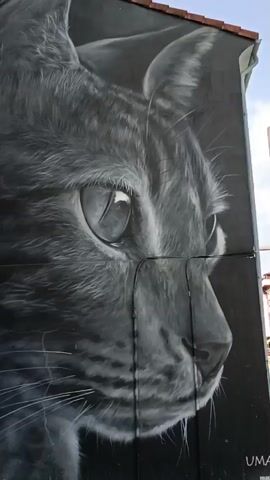 The video pans across a large black and white mural of a cat's face, viewed in profile, facing right. The mural is painted on the side of a building, which has a light-colored roofline visible at the top. To the left of the mural, a brick building with windows and a blue awning is visible, along with a blue utility box with white text and graphics. The ground in front of the mural is paved with light-colored tiles. The sky is visible above the mural, appearing light blue. The mural is detailed, with emphasis on the cat's fur texture and its large, expressive eyes.
