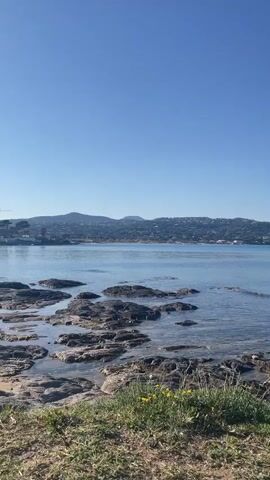 The video captures a serene coastal scene on a clear day, with a bright blue sky overhead. The calm, blue water stretches out to the horizon, where distant mountains, dotted with buildings, are visible. In the foreground, a rocky shoreline is covered with dark, textured rocks. Some small patches of green grass and yellow flowers grow near the edge of the rocks. The camera slowly pans across the landscape, revealing more of the coastline. An airplane can be seen flying high in the distance at the end of the video.