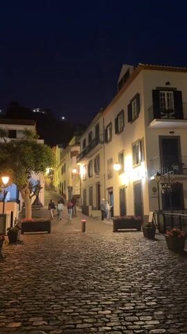 The video shows a street in a European village at night. The street is paved with cobblestones, and lined with two and three story buildings with white or cream facades and dark shutters. Most of the buildings have wrought iron balconies. There are street lamps along the street. There are potted plants at the edge of the street. A group of people are walking up the street, away from the camera. Two people are standing in the doorway of one of the buildings. There is a red bollard in the middle of the street. The sky is dark blue. A bright spot in the dark sky could be the moon.