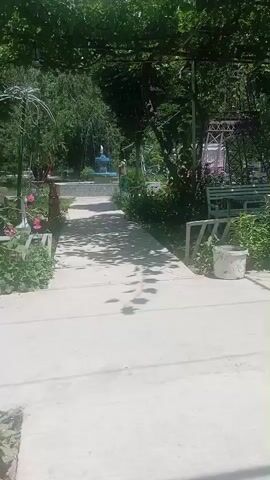 A brief video shows a pathway in a garden on a sunny day. The path is made of concrete and is lined with green foliage and flowers. In the background, there is a fountain and a bench. There are shadows cast by trees on the path. There are no people visible in the video.