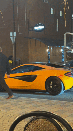 Dog walking and petting session in Yerevan streets