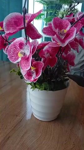 The video shows a close-up shot of a potted artificial orchid plant. The orchid has bright pink and white petals with darker pink veins and a yellow center. The plant is in a white, textured pot. Green artificial leaves are visible at the base of the orchid stems. The pot sits on a wooden surface, possibly a table. In the background, blurred out, are hints of indoor greenery and possibly furniture or blinds. The lighting suggests an indoor setting, likely during the day due to the natural light filtering in from the left. The camera angle is slightly above and to the side of the plant, giving a clear view of the flowers. There are no people or animals in the video, and no discernable actions taking place. The video focuses solely on the static arrangement of the artificial plant.