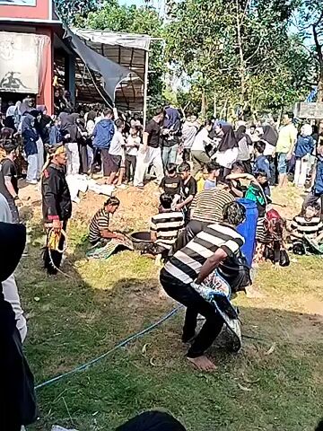 A group of people, many wearing striped shirts, are gathered outdoors. Some are sitting on the ground, while others stand. Two individuals in the foreground appear to be engaged in a physical activity, possibly a mock fight or dance, with one holding a rope. Several people are dressed in traditional attire, including headwear and elaborate costumes that resemble masks. The environment suggests a rural setting with trees and a building in the background. The overall atmosphere seems to be that of a community event or performance.