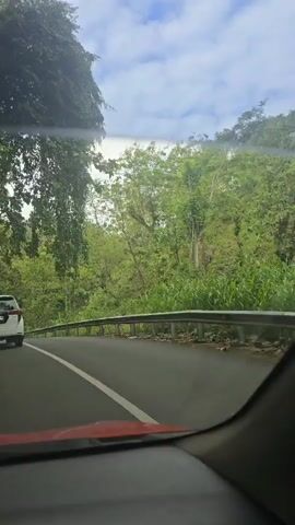 A view from inside a car shows a road surrounded by green trees and vegetation, with a white car and several motorbikes traveling on it. The motorbikes carry one or two people, and the sky is partly cloudy. The car is red, and a guardrail lines part of the road.
