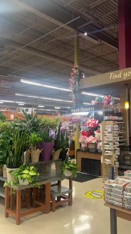 The video begins with a low-angle, medium shot of an indoor flower shop or florist section within a larger store. The camera pans slowly from left to right, showcasing a variety of potted plants and fresh flower arrangements. In the foreground, on the left, are several large potted plants, including snake plants and what appear to be pothos plants with trailing vines. These plants are on wooden stands and a metal table. To the right, the camera captures a display of fresh flowers, including bouquets of roses and other colorful blooms, under a sign that reads "fresh flowers." Further to the right, shelves are stocked with packaged items, possibly greeting cards or small gift items. In the background, signs indicate different sections of the store, such as "1 Sun Food" and "2 Deli." Towards the end of the pan, a woman in a black dress and a patterned scarf walks past from left to right, holding a small bouquet of white flowers. The environment appears to be a well-lit supermarket or department store, with a visible ceiling grid and fluorescent lighting. The floor is light-colored and clean. Yellow circular floor markings, possibly indicating social distancing markers, are visible in the mid-ground.