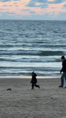 Dramatic sunset draws families to Tel Aviv beaches