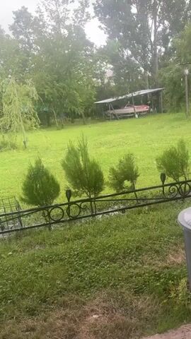 The video shows a view of a backyard on a rainy day. The yard is green and well-maintained, with a black metal fence in the foreground adorned with small trees planted along its edge. A boat is parked under a metal carport structure in the middle distance. The background features tall, lush trees, creating a dense treeline. Rain is visible, creating a slightly blurred effect on the scene. A gray trash can is partially visible on the right side of the frame.