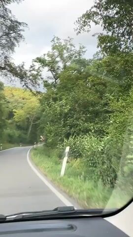 The video shows a view from inside a vehicle driving on a road surrounded by trees. The road curves to the left, and there are white line markers on the side of the road. The trees are lush and green, with some branches extending over the road. The sky is cloudy. The video is filmed from the perspective of the driver, with part of the car's dashboard visible in the foreground.