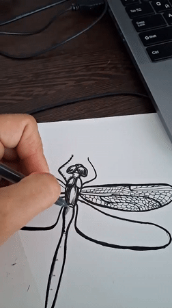 Detailed dragonfly art session with nature photography in Kempelevo