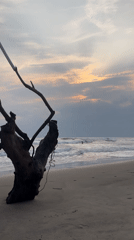 Beach life documented at Ashvem, India coastal area