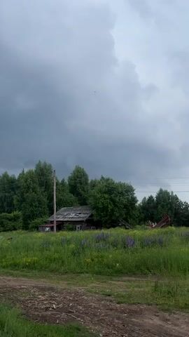 The video shows a rural landscape with a dilapidated wooden house in the middle ground. The house appears to be abandoned and in disrepair, with a broken roof and visible structural damage. Surrounding the house is a field of green grass interspersed with purple and yellow wildflowers. Tall trees form a backdrop behind the house, and a cloudy, overcast sky looms above. In the foreground, a dirt path or road is visible. There are no people or animals in the frame, and no discernible actions are taking place. The overall impression is one of isolation and decay in a natural setting.