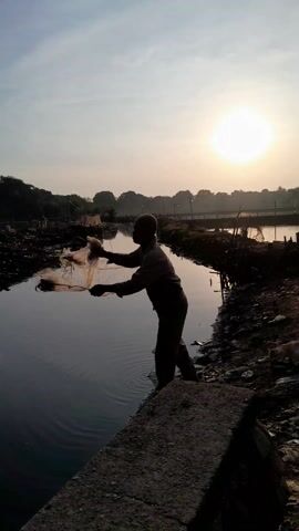 The video shows a large, light-colored fishing net being cast into a body of water near a shoreline. The net is circular and spreads out as it sinks into the water. On the shore, there's a small wooden house with a blue roof, surrounded by trees. There's also debris and discarded items scattered along the shore. The water appears calm, with slight ripples caused by the net's movement. The sky is bright with a hint of dawn or dusk.
