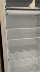 Sochi apartment life: fridges, drinks, and a sleeping cat