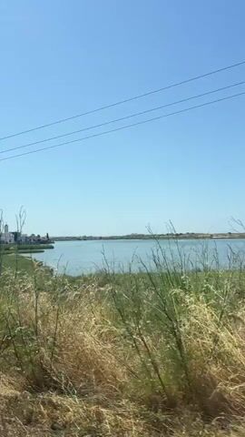 A static shot of a body of water under a clear blue sky. The foreground is dominated by tall, dry grass. In the distance, across the water, a white building with a prominent tower is visible. Power lines stretch across the upper portion of the frame. The overall impression is a rural, possibly coastal or lakeside landscape on a sunny day.
