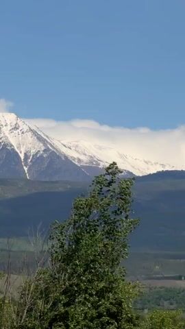 The video shows a scenic landscape with a prominent snow-capped mountain range in the background under a partly cloudy sky. In the midground, there are rolling green hills and a valley with fields and some scattered vegetation. The foreground features a cluster of lush green trees, partially obscuring the view of the hills. The camera appears to be relatively still, providing a stable, wide-angle view of the natural landscape.