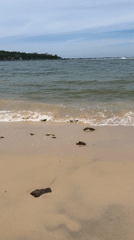 Nha Trang coast: beaches, streets, and waterfront cafés at dawn