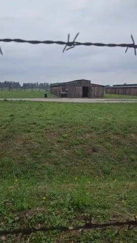The video shows a view of a concentration camp through barbed wire. The barbed wire is in the foreground, with a concrete post to the right. In the background, there are several long, wooden barracks with open doorways. The ground is covered in green grass, and the sky is overcast. The overall impression is one of desolation and confinement.