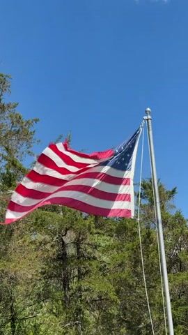 An American flag, displaying red and white stripes and a blue canton with white stars, waves in the wind against a clear, bright blue sky. The flag is attached to a silver flagpole, visible on the right side of the frame. The fabric of the flag appears slightly worn or frayed along its edges. In the background, dense green foliage from numerous trees, possibly evergreens, stretches across the lower portion of the scene. The weather appears sunny and breezy, causing the flag to gently unfurl and ripple. No people or text are visible in the video.