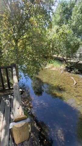 The video shows a body of water, likely a river or stream, on a sunny day. The water is clear, and the bottom is visible, with many rounded stones. Trees and foliage line the banks of the water, with reflections of the trees and sky visible on the water's surface. In the foreground on the left, a wooden structure, possibly part of a bridge or walkway, is visible. The overall scene is peaceful and natural.