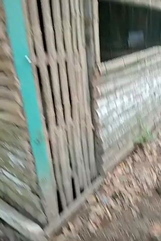 The video pans across a makeshift structure constructed from bamboo and logs. The walls are made of horizontally stacked logs, with vertical bamboo poles on the left side. A section of the structure appears to be covered with wire mesh. To the right, several sheets of corrugated metal are leaning against the wall. The ground is covered with dirt, leaves, and some sparse vegetation. The overall impression is of a rustic, possibly outdoor enclosure.