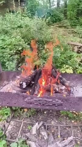 The video shows a close-up, eye-level shot of a burning fire in a metal grill. The fire is primarily composed of logs that are actively burning with bright orange and red flames. The grill is filled with ash and embers beneath the logs. The background is lush and green, with dense foliage and trees, suggesting an outdoor setting, possibly a backyard or a campsite. The lighting appears to be natural daylight, with some areas of shadow and highlights on the flames and grill. There are no people visible in the video, and no explicit actions are being performed beyond the fire burning. The overall atmosphere is one of a natural outdoor scene with a campfire.