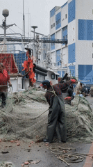 Morning scenes captured across Ulsan harbor and streets