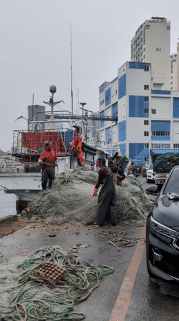 Morning scenes captured across Ulsan harbor and streets