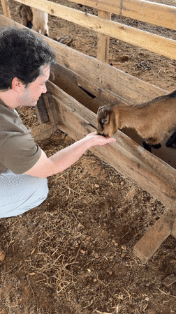 Person feeds goats and tends chickens at Tal Shahar farm