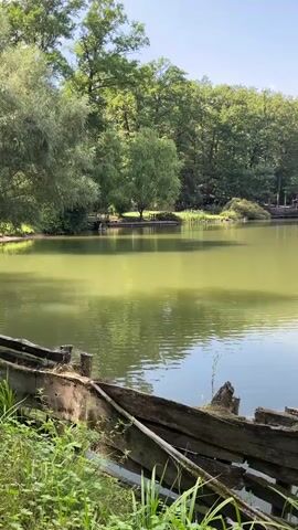 A serene lake is surrounded by lush green trees under a clear blue sky. In the foreground, partially submerged in the water, is a weathered wooden structure, possibly part of an old boat or dock. The water is calm, reflecting the trees and sky. In the distance, across the lake, several small wooden buildings or structures are visible nestled amongst the trees. The overall atmosphere is peaceful and natural.