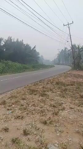 A black pickup truck drives down a paved road surrounded by dry grass and palm trees. Power lines stretch across the frame. The sky is overcast.