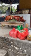 Roasted pig ceremony unfolds in Busungbiu, Bali