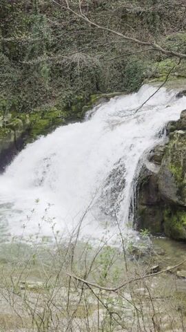 The video shows a waterfall cascading over rocks in a lush, green environment. The water is white and foamy as it plunges downwards, creating a dynamic display. Surrounding the waterfall, the rocky landscape is covered in moss and dense vegetation, suggesting a humid and thriving ecosystem. A few bare branches and bushes are visible in the foreground, offering a glimpse of the terrain leading up to the waterfall. The overall scene conveys a sense of natural beauty and tranquility.