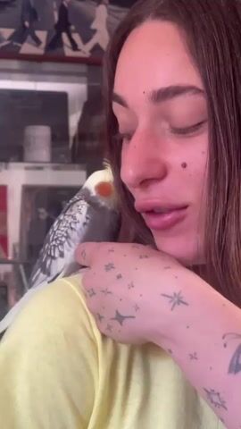 A woman with long brown hair and freckles is seen indoors, gently holding a cockatiel bird on her shoulder. She has multiple star-themed tattoos on her left arm and a large butterfly tattoo further up. The cockatiel, with its distinctive grey and white feathers, yellow crest, and orange cheek patches, appears to be nuzzling or preening near the woman's neck and shoulder. The woman is smiling softly, indicating affection for the bird. In the background, a display shelf holds various items, including a framed image resembling the iconic "Abbey Road" album cover by The Beatles. The scene is brightly lit, suggesting it is daytime. The location is Mitzpe Ramon, Israel.
