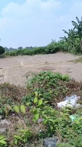 The video pans across a roadside scene. In the foreground, there is overgrown vegetation and scattered litter, including plastic bags and bottles. Beyond the vegetation, a dirt road is visible, with some patches of pavement. Trees and fields are seen in the middle ground, under a bright sky with scattered clouds. Two utility poles stand by the roadside, one with a red flag attached. The video then moves to show a residential area with houses and a car parked in a carport. The houses have decorative walls and some have blue tarps covering parts of the roofs.