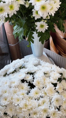 Flower shop displays red roses and daisies in Liepaja