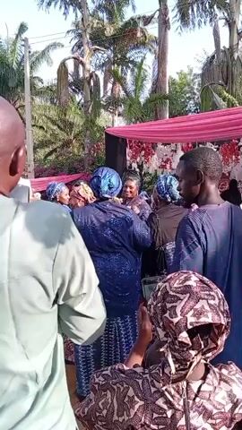 Here's a description of the video:

The video shows a group of people gathered outdoors, likely at a wedding celebration. Most of the people are women, and many of them are wearing traditional head wraps (hijabs) and colorful, patterned outfits. Some are interacting with each other, smiling and talking. Others are recording the scene with their phones. There is a decorated archway in the background, adorned with flowers and pink fabric. Tall palm trees are visible behind the group, suggesting a tropical or subtropical location. The camera focuses on the group, with some people obscuring the view.