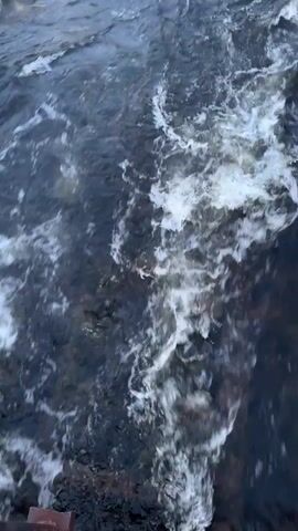 The camera pans up to reveal a wide river. The water is dark, but foamy white rapids run through it. Trees line both sides of the riverbank.  The sky is blue.