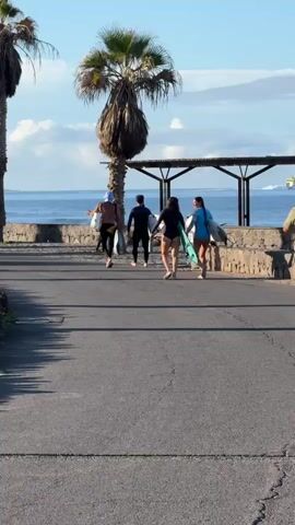 Four individuals, each carrying a surfboard, walk away from the camera on a paved path. The person on the far left is wearing a blue hat, black wetsuit bottoms, and appears to be waving. Next to them, a person in a black wetsuit walks. Following them are two individuals, one in a black wetsuit and another in a blue shirt and black bottoms. Palm trees line the left side of the path, and a stone wall separates the path from a body of water, likely the ocean, in the background. A covered structure with seating is visible on the right, near a trash receptacle. The sky is blue with some clouds, and the lighting suggests it is daytime.