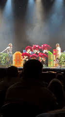 Stage performance recorded by audience member in Krasnoyarsk