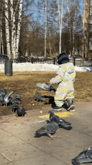 Child feeds pigeons in Izhevsk park early morning