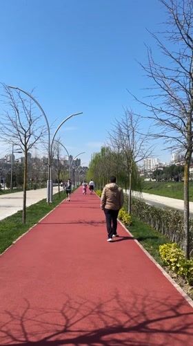 Spring morning activities captured across Istanbul parks and skies